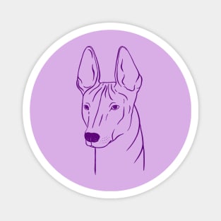 Xoloitzcuintli (Lilac and Purple) Magnet